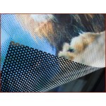 Perforated Window Film / See Through Vinyl